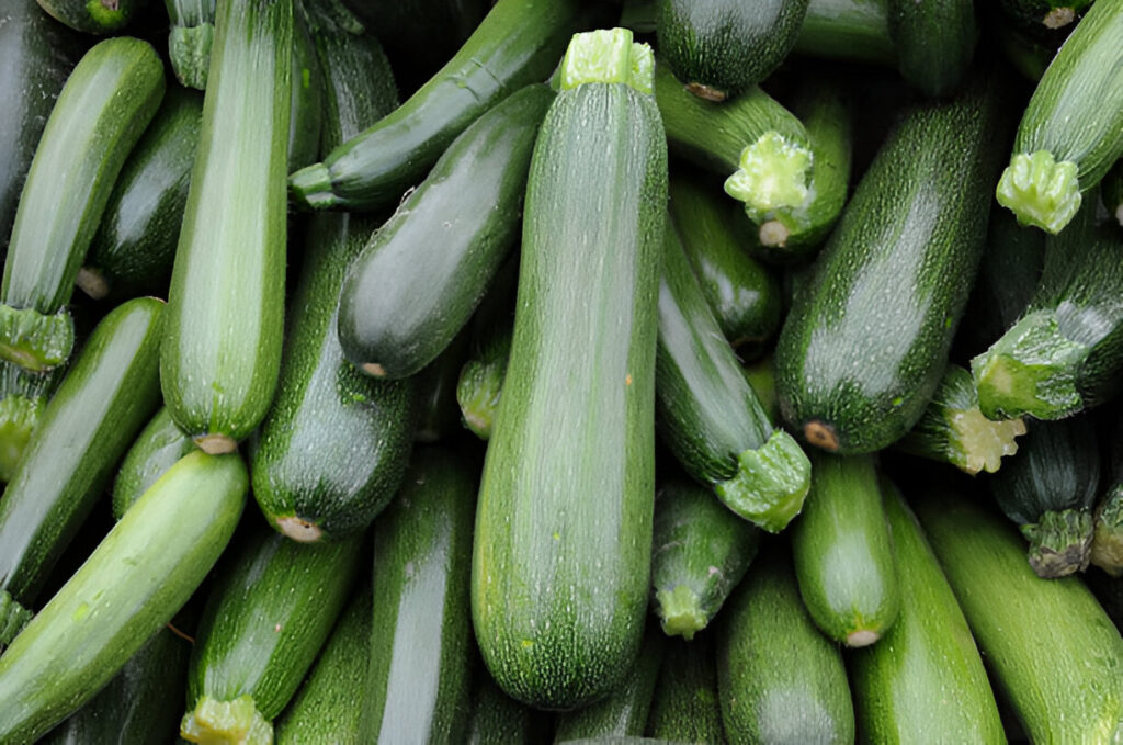 Fruits en Z : Zucchini (Courgette)