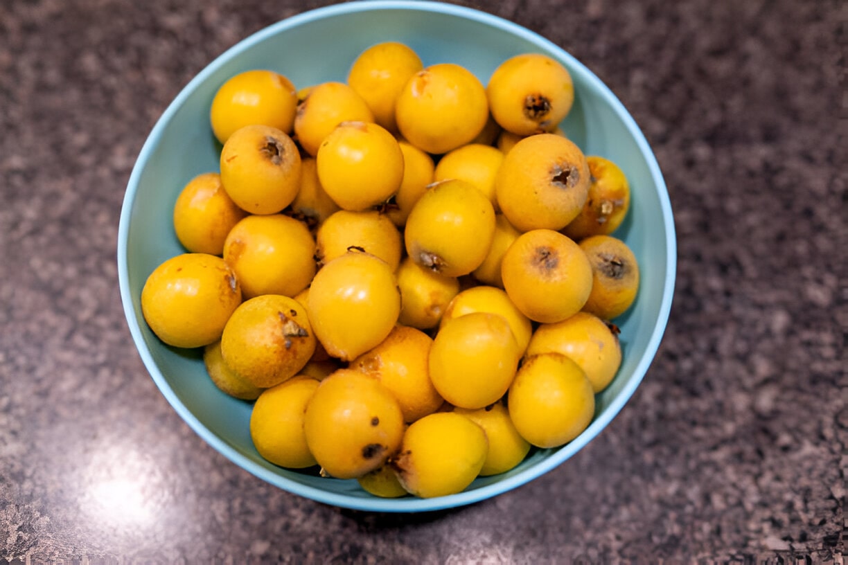 Fruits en N : Photo de nèfle