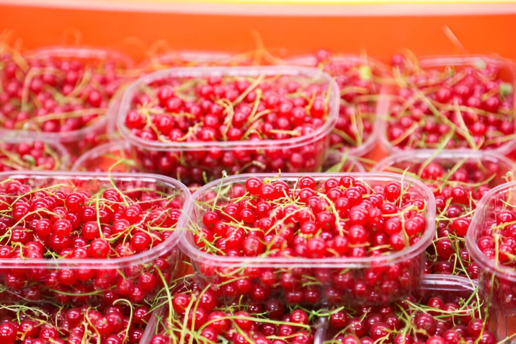 Fruit en G : liste complète 