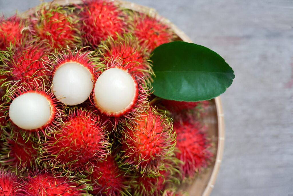 RAMBUTAN