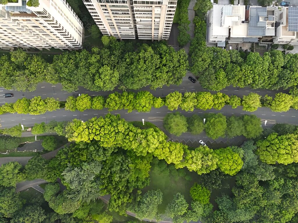 Avoir une route écologique