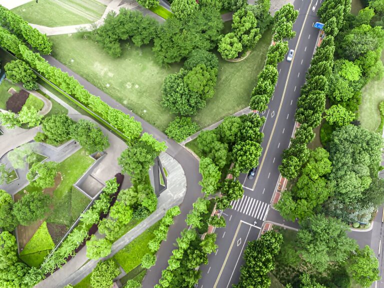 Ville verte écologie urbaine