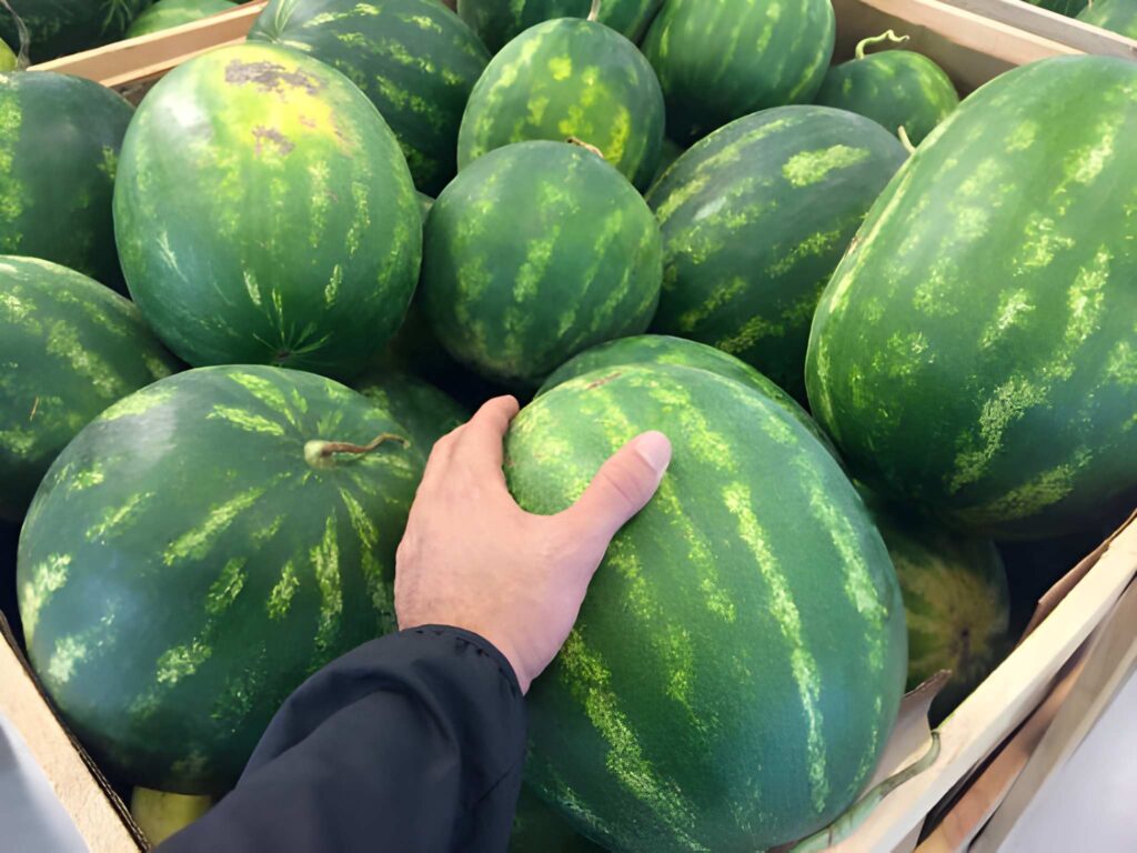 watermelon un exemple de fruits en w